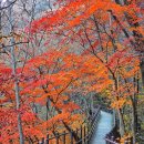 산내면사무소 | 지리산 뱀사골 계곡 단풍 구경 오늘