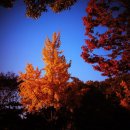 인천대공원(거수골) 이미지