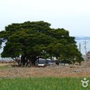 남해-299 이미지