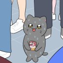 올소 - 파주시 통일로 1392 | 올소