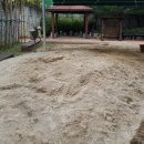 유가놀이터 이미지