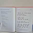 양양하다 이미지