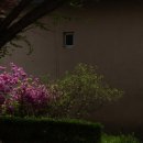 한 웅큼의 빛 이미지