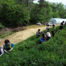 일봉농장 이미지