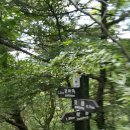 장성중앙초등학교 이미지