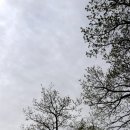 오색 건축사사무소 이미지