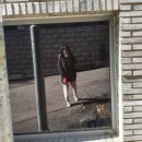 삼익사 | 강아지랑 갈만한곳 용산 강아지 산책에 좋은 효창공원