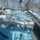 갯바위회수산 | 울산 강동몽돌해변 자연산회를 즐길 수 있는 , 갯바위수산시장