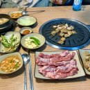 이지비야 이미지