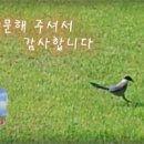 봉두슈퍼 이미지