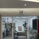 쏠 에너지 | 동탄 가족사진 | 런던이랑 남긴 애견동반 헤이쏠스튜디오 후기 동탄 사진관