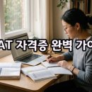 디지털정보활용능력 | 2026 디지털정보활용능력 DIAT 자격증: 시험부터 취업 활용까지