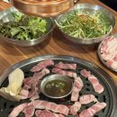 신선포목