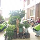 다사랑농업회사법인 이미지