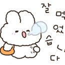 처갓집 양념치킨(안의점)