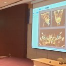 주식회사 아인사이트 이미지