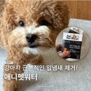 애니펫 | 강아지입냄새제거 도움되는 애니펫워터 후기, 미네랄이 풍부해요