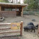 주렴농장 이미지