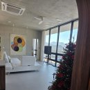 로터스711 이미지