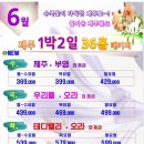 우리들항공여행사 이미지