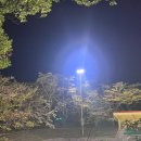 남방약국 이미지