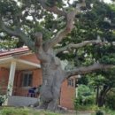 임자보건지소 이미지