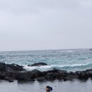 제주도 2025여름일기 26. 물에서 안나오려는 1인추가 이미지