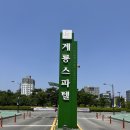 계룡마트 이미지