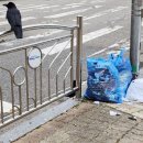 공공용 18 이미지