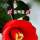 기쁜날