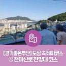 아미초등학교 | [도심 속 테마코스] ① 천마산로 전망대 코스