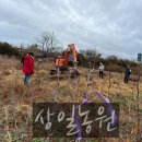 상일농원 이미지