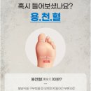 [내돈내산] 엑슬리퍼 vs 크록스 비교! 족저근막염에 좋은 기능성 샌들 &#39;엑슬리퍼&#39;후기!