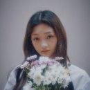 당카 이미지
