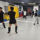 팀크로우 MMA 이미지