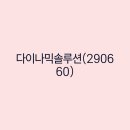 (주)다이나믹솔루션 네이버블로그
