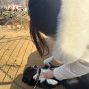 원주굽이길 16코스 황둔쌀찐빵길 | [국내여행] 원주 1박 2일 코스-출렁다리, 소원재, 남부통닭