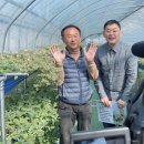 정해성농장 이미지