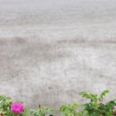 시도리운동장 이미지