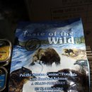 이지스메디코스 이미지