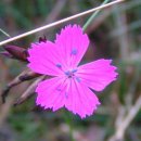 푸른세상 이미지