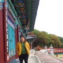 삼백육십오일사 Daum카페