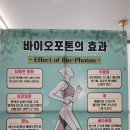 리즌뷰티