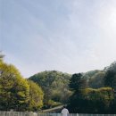 [경기 양평 애견가능카페] 파크드차밍 다녀온후기