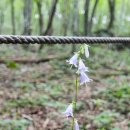 안구경로당 이미지