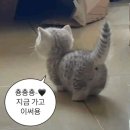 제이뷰짐 네이버블로그