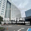 호텔 메종 | [제주] 가성비 넘치는 제주도 5성급 호텔 메종글래드 내 돈 내산 후기