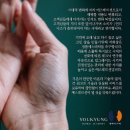 여신의발견