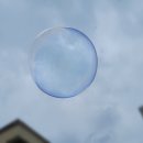 용성초교 병설유치원 이미지