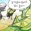 개미와배짱이 이미지